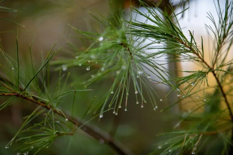 5 Things Leaders Are Doing to Grow Print Sales